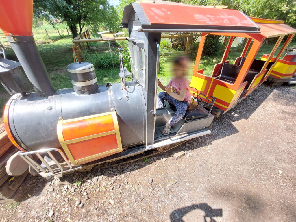 grizzlybaer-lokomotive