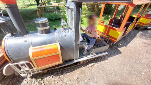 grizzlybaer-lokomotive