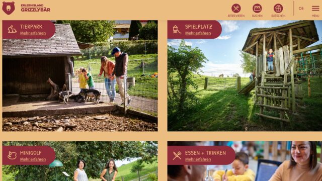 Grizzlybär Website
